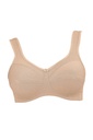 BRA 5427
