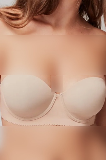 [BRFCGIS1-0138] BRA 1/0138