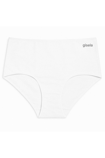 [PABRGIS1-0225] BREIF -0225 