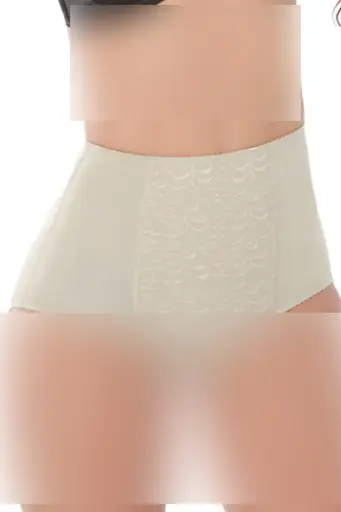 [PASHSILSF8091] SHAPEWEAR SF8091